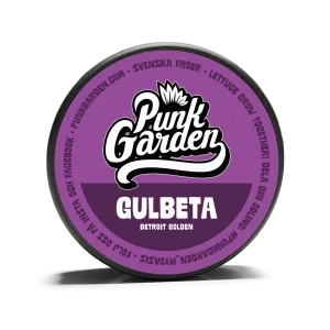 Gulbeta Detroit Golden