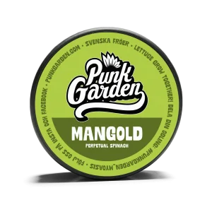 Spenat Mangold