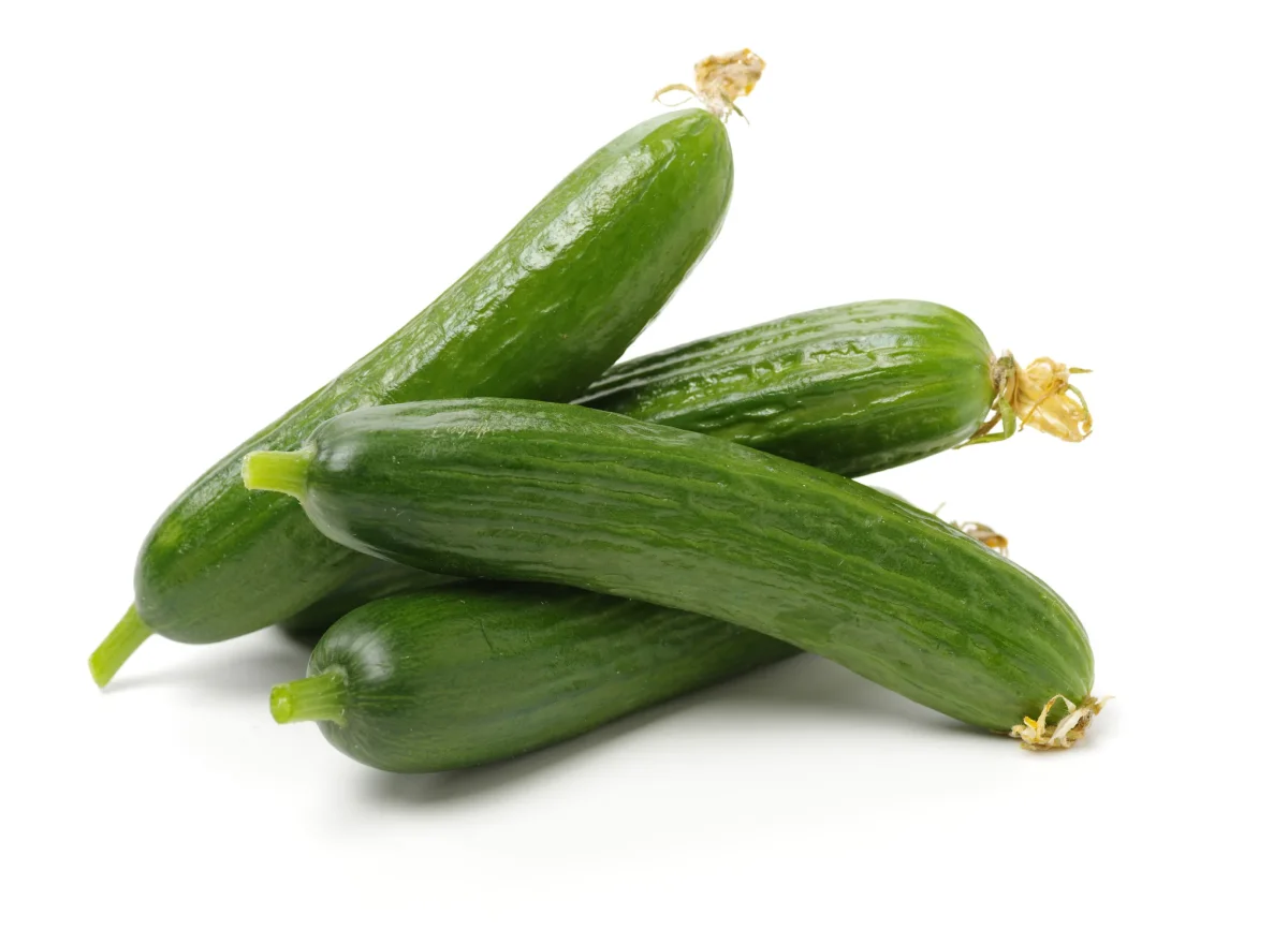 The Gurk-Kit - Bild 5