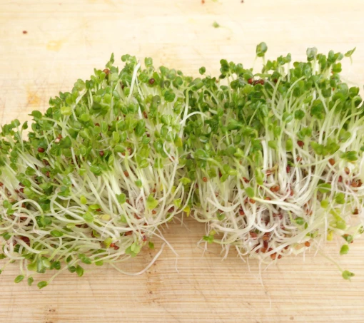 Broccoletti - Bild 4